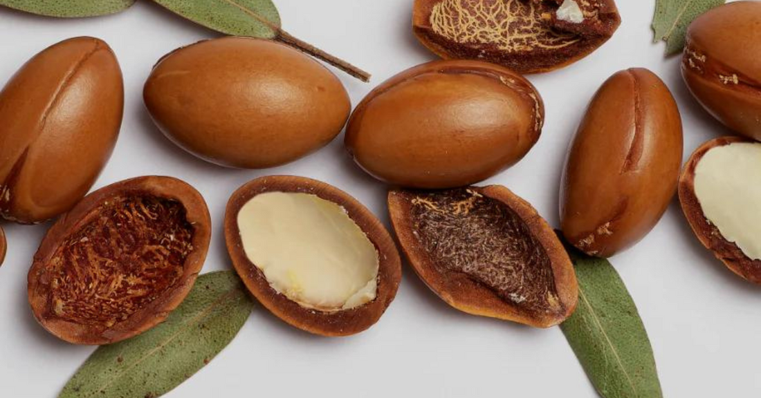 Argan Oil for Hair: Uses, Benefits & More